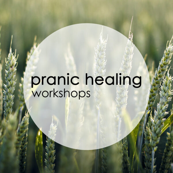 Workshops